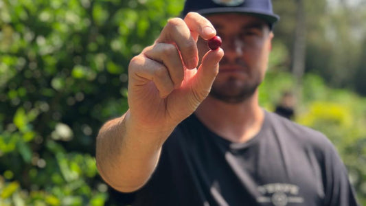 Know Your Producer - Costa Rica