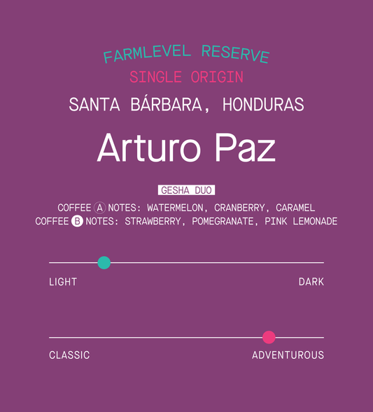 Honduras Arturo Paz Gesha Farmlevel Reserve Duo Set