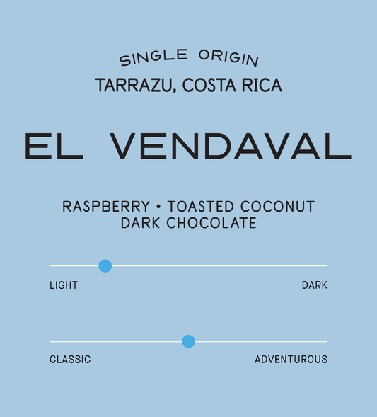Verve Coffee Roasters - El Vendaval - Scent Profile - Single Origin - Tarrazu, Costa Rica - Raspberry, Toasted Coconut, Dark Chocolate - Light + Middle