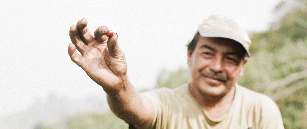 Coffee Farmers