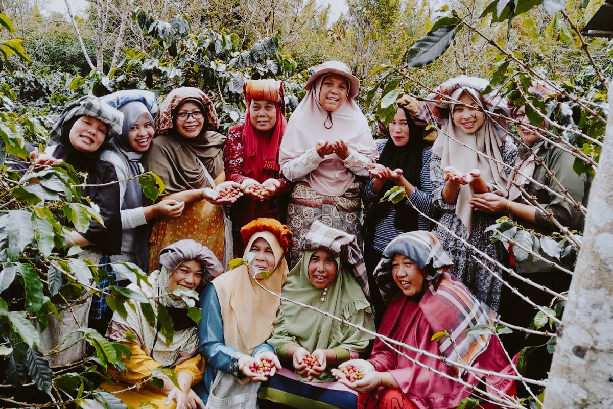 Ribang Gayo Musara Cooperative in Indonesia
