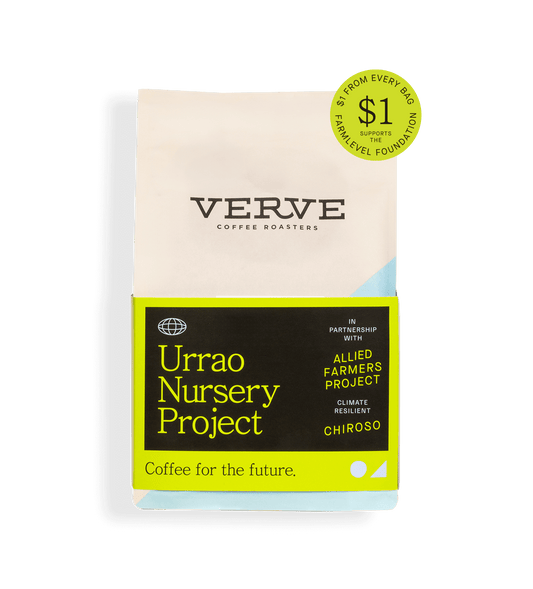 Verve Coffee Roasters - Urrao Nursery Project - $1 From Every Bag Supports The Farmlevel Foundation - In Partnership With Allied Farmers Projects - Climate Resilient- Chiroso - Coffee for the future.