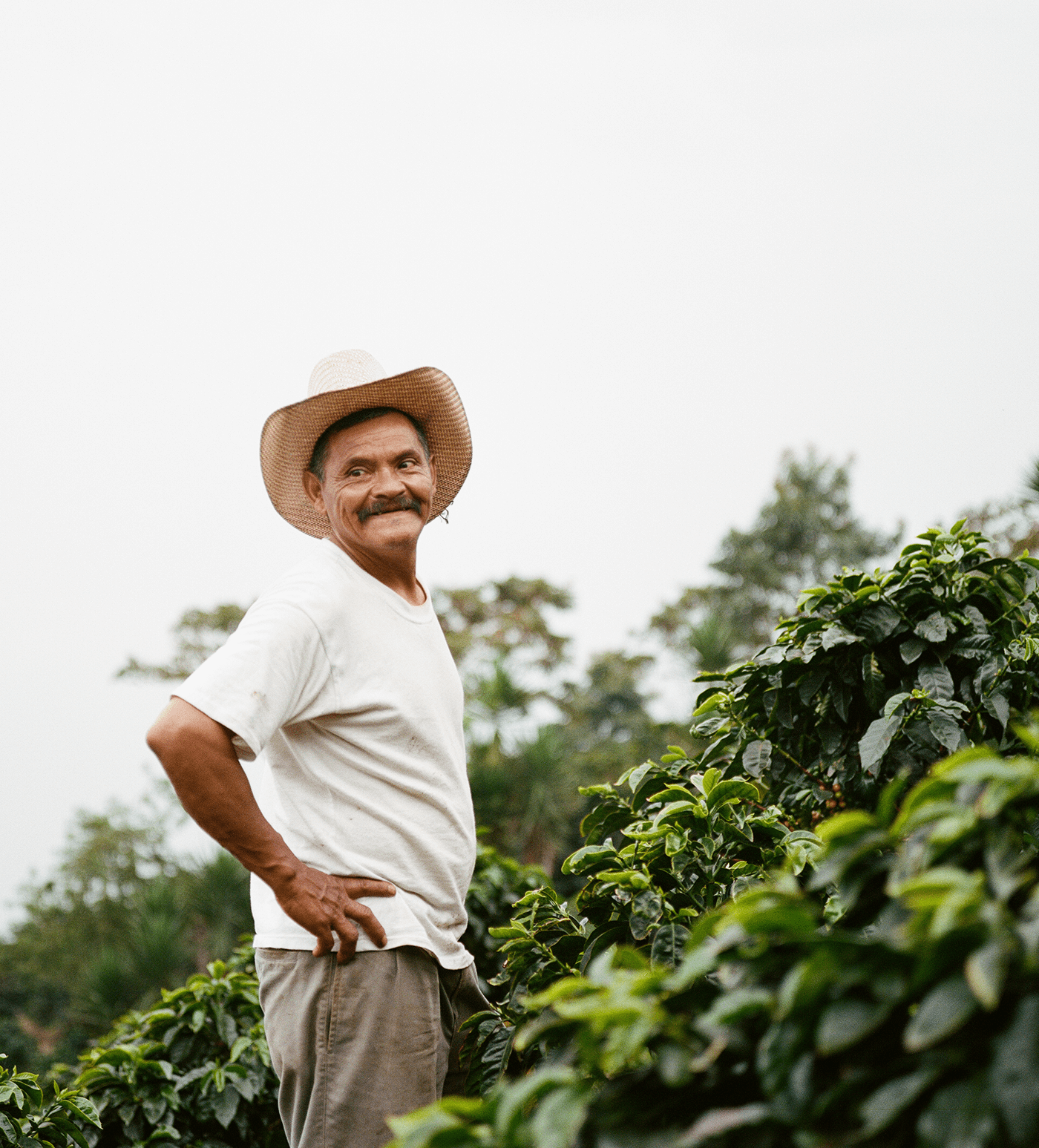 Verve Coffee Roasters - Juan Benitez - Producer Image