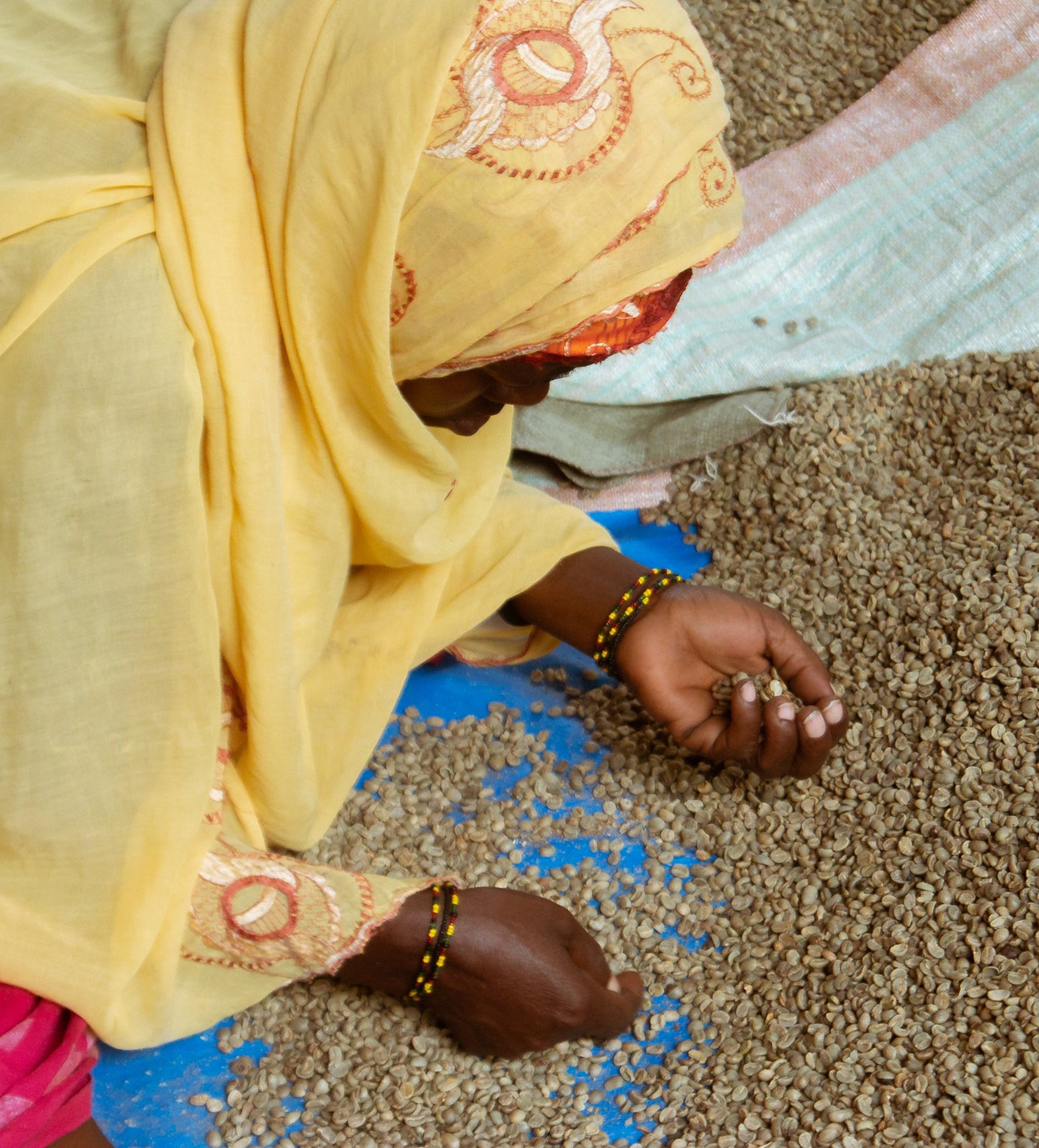 Kigali farmers picking through coffee bean