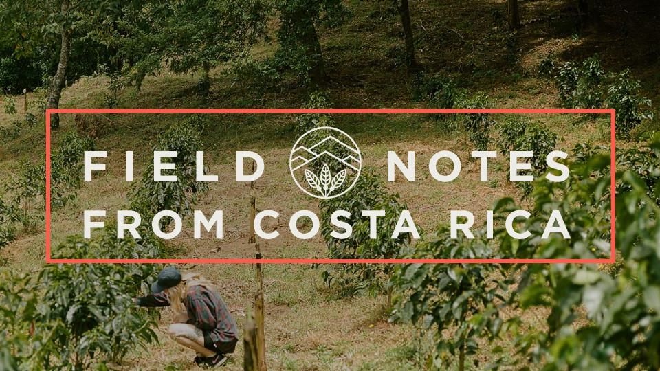 Field Notes from Costa Rica Vol. 1