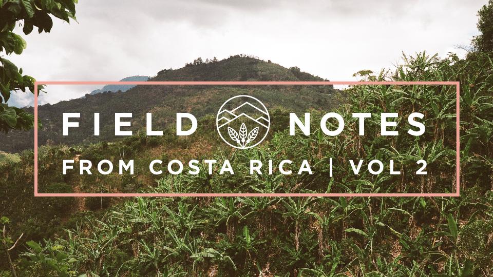 Field Notes from Costa Rica Vol. 2