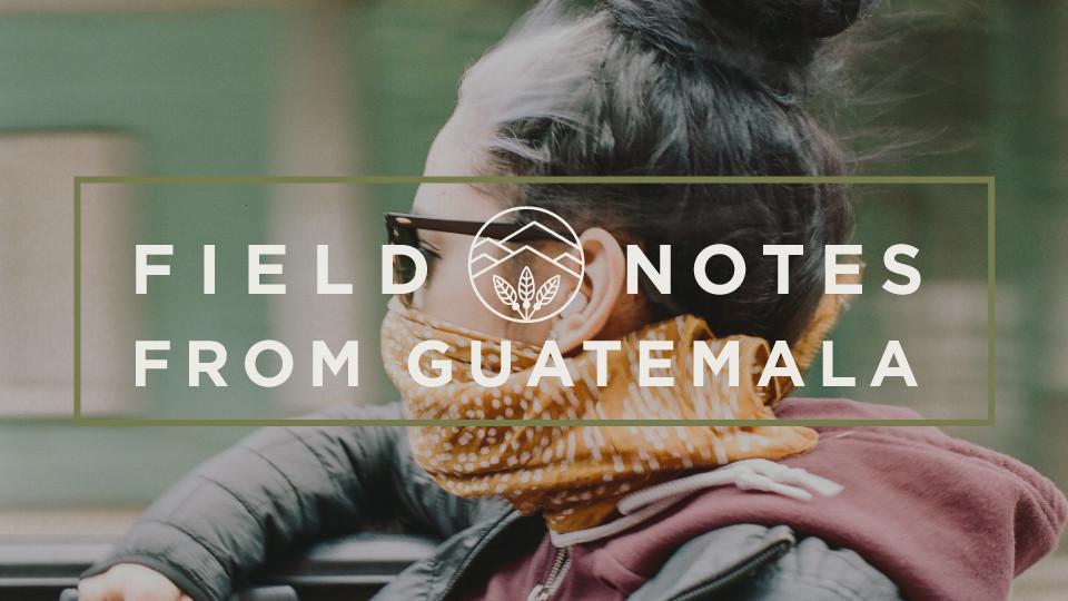 Field Notes from Guatemala