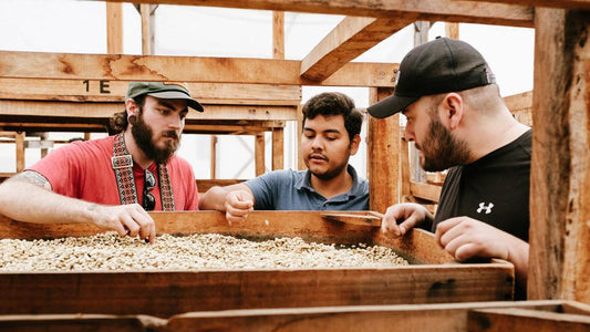 Know Your Producer - Guatemala