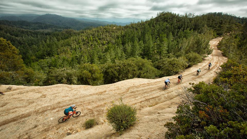 Big Basin Redwoods State Par