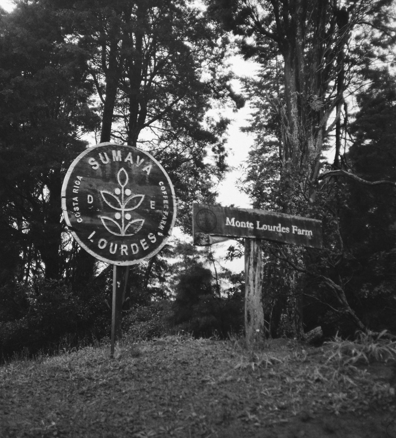 Sumava Farm