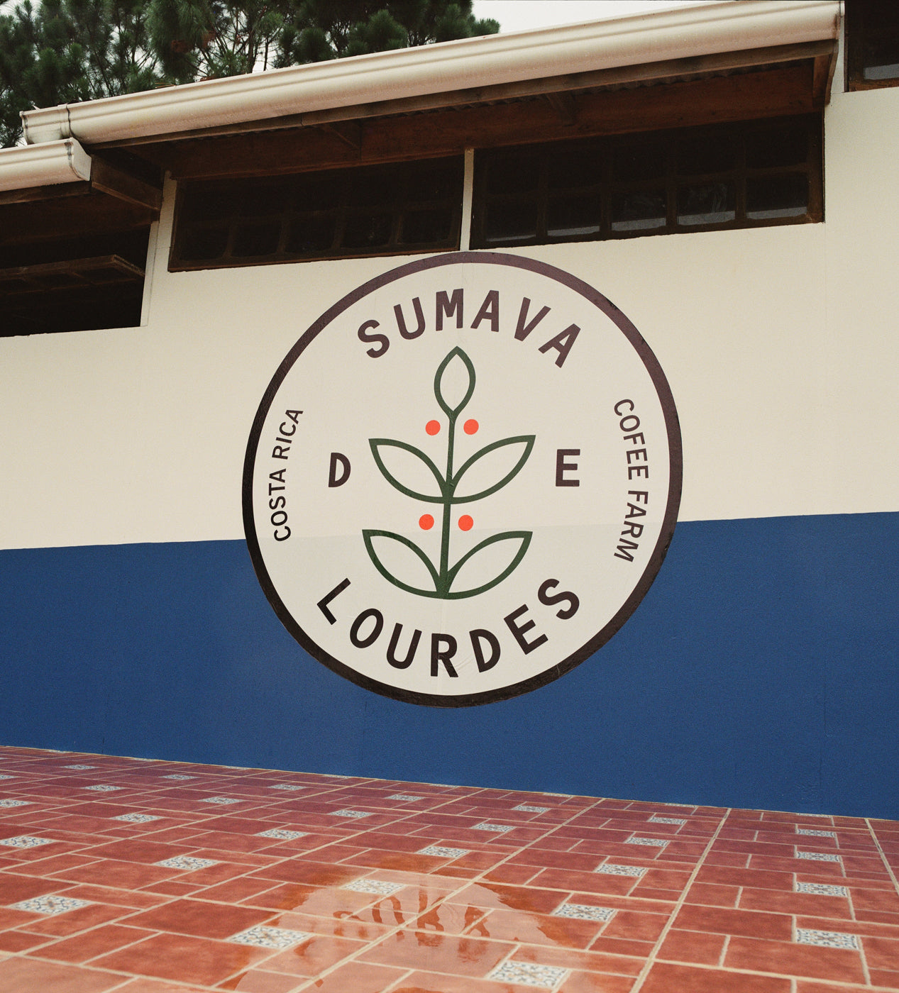 Sumava De Lourdes Coffee Farm
