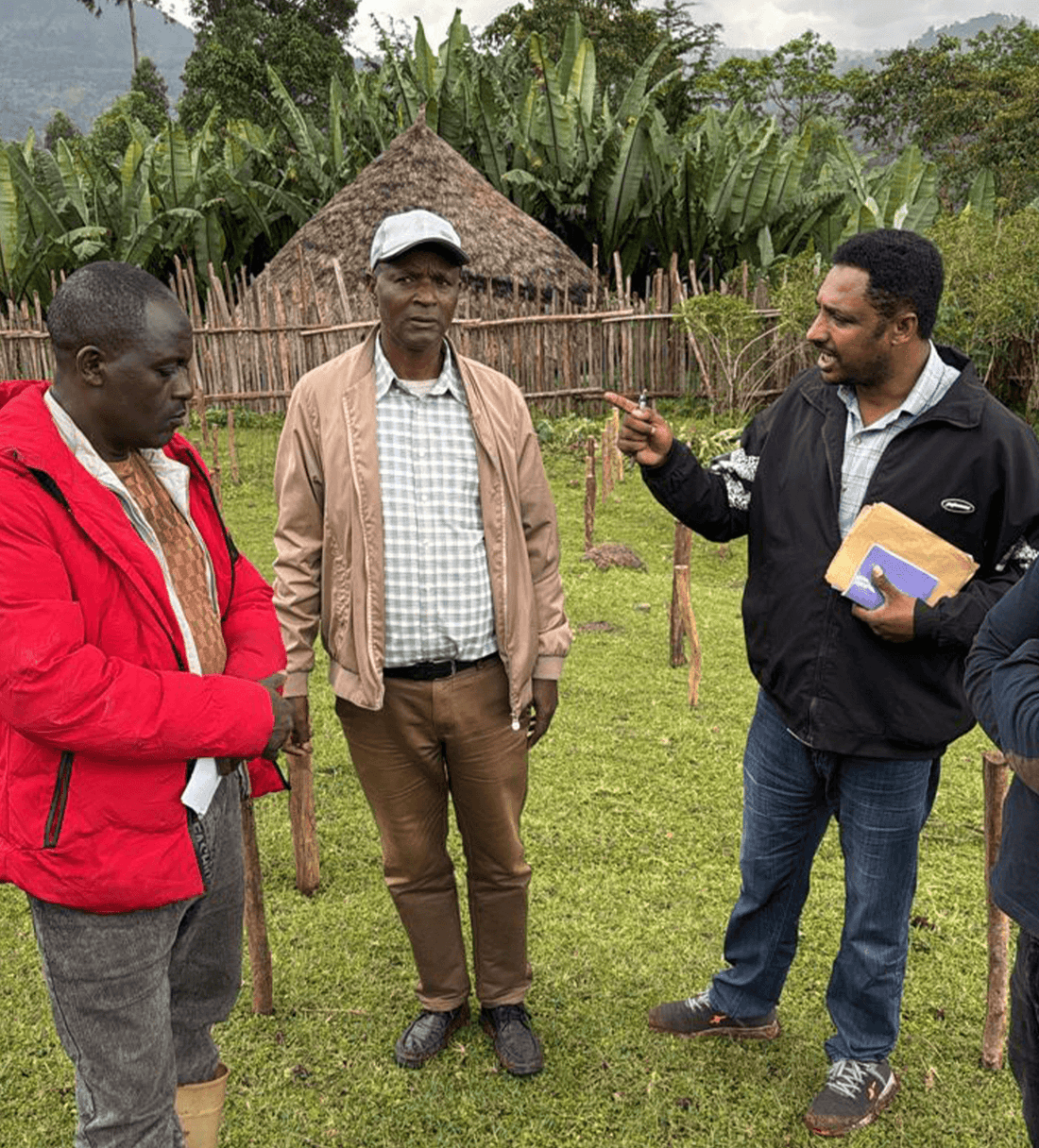 Verve Coffee | Archive | Ethiopia Bekele Yutute | Single Origin