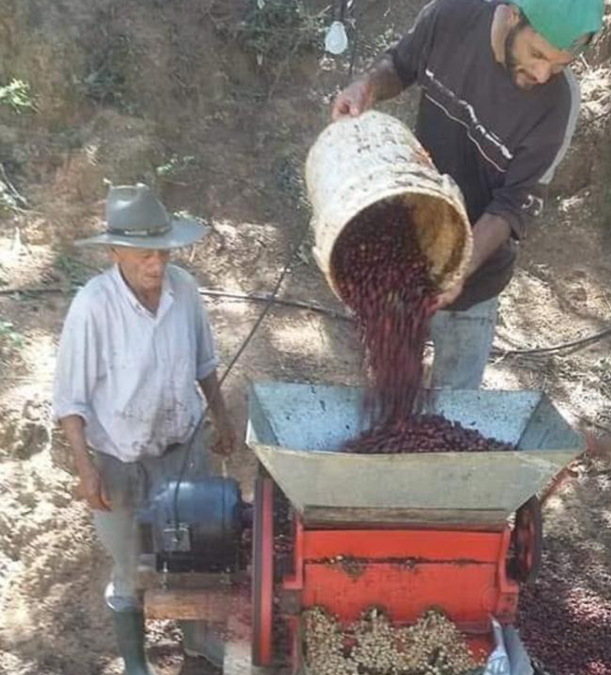 Verve Coffee Roasters - Benjamin Garcia - Producer Image