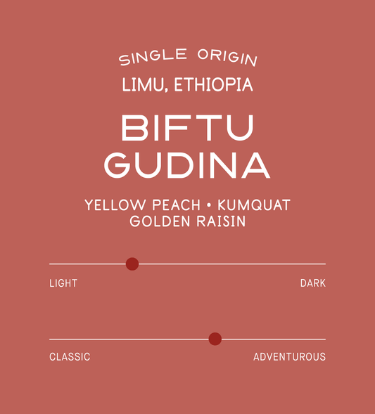 Ethiopia Biftu Gudina
