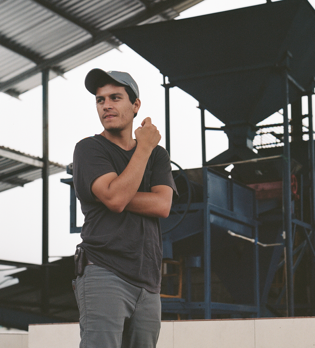 Verve Coffee | Archive | Honduras Denilson Madrid | Single Origin