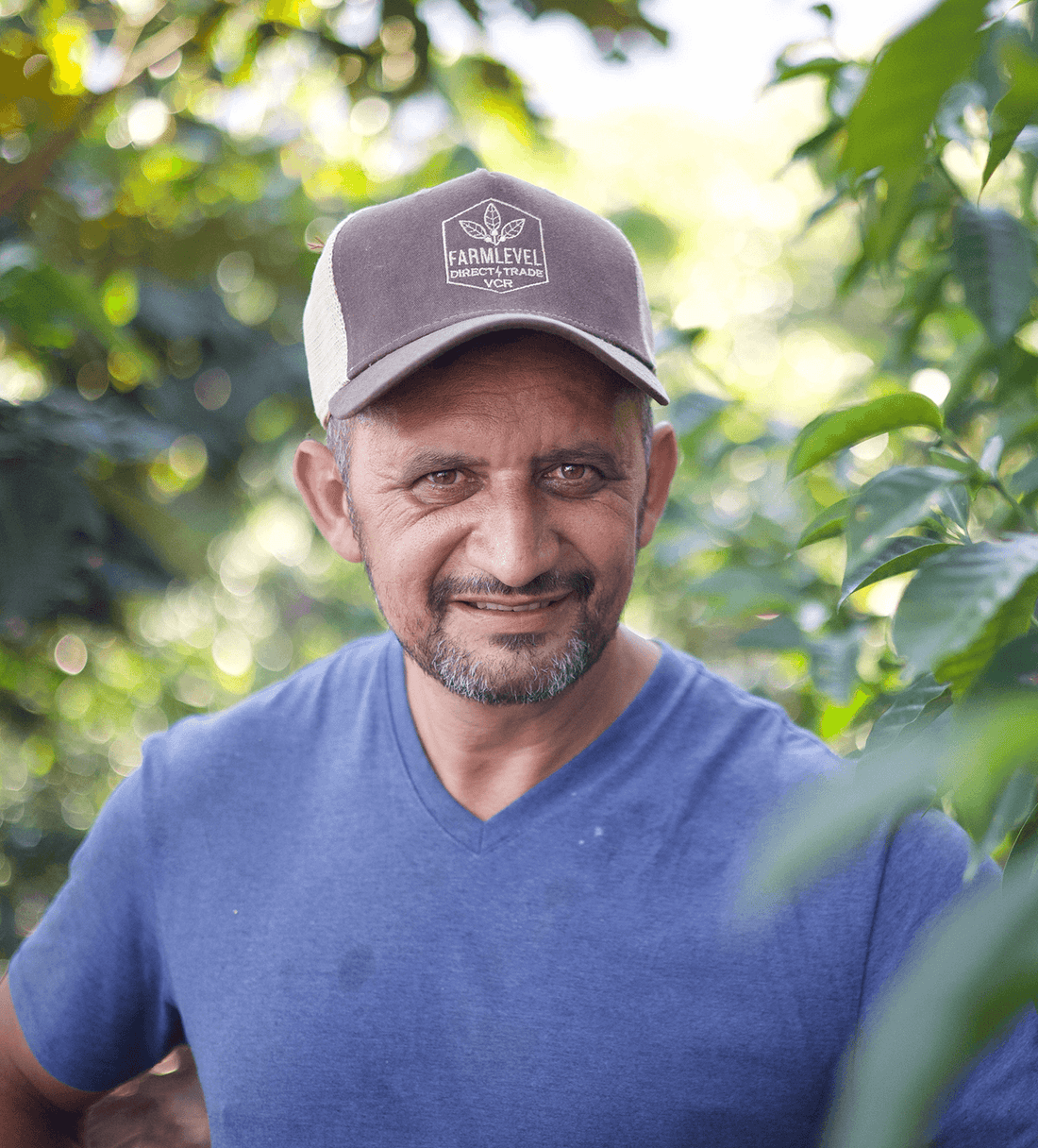 Verve Coffee | Honduras El Portillo Natural Parainema | Single Origin