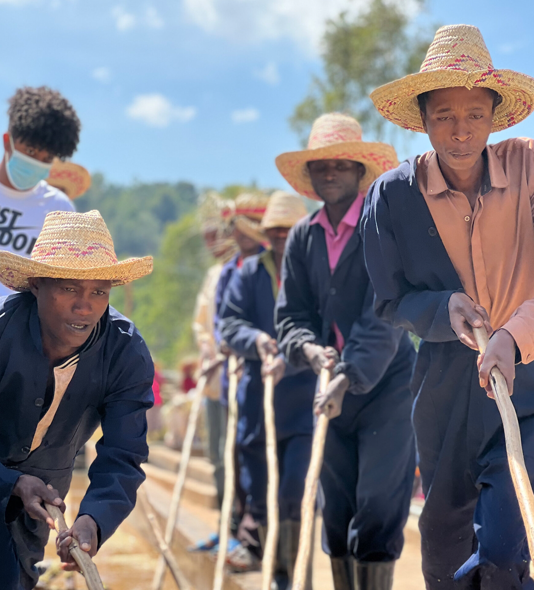 Verve Coffee | Archive | Ethiopia Idido | Single Origin