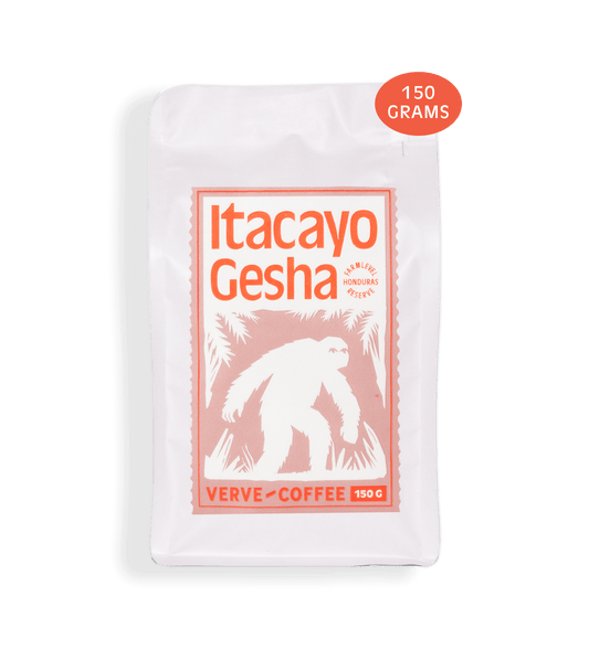 Verve Coffee Roasters - Itacayo Gesha Farmlevel Reserve - 150 Grams - Honduras