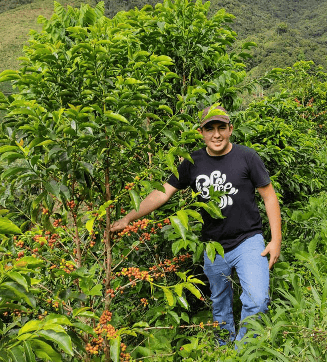 Verve Coffee | Colombia Jhoan Vergara Chiroso | Farmlevel Reserve