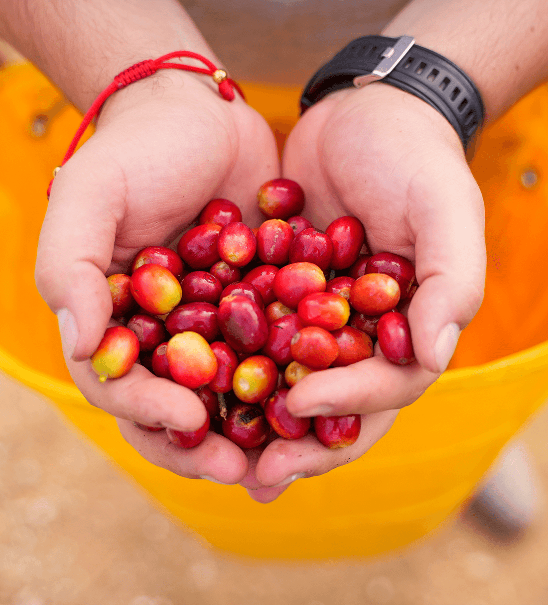 Verve Coffee | Colombia Jhoan Vergara Chiroso | Farmlevel Reserve