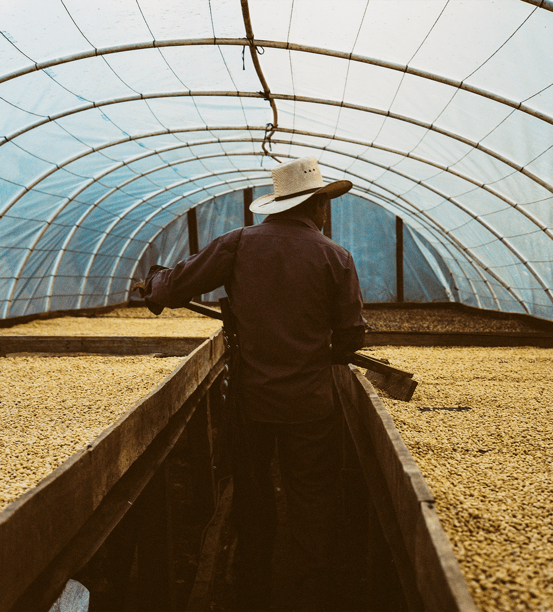 Verve Coffee | Archive | Honduras Juan Benitez | Single Origin