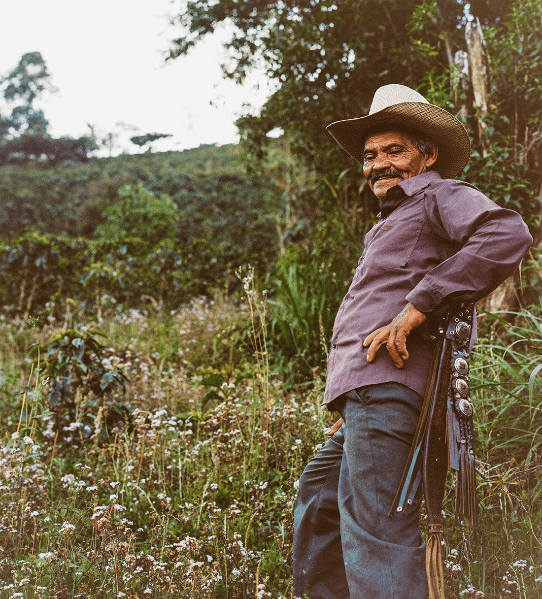 Verve Coffee | Archive | Honduras Juan Benitez | Single Origin
