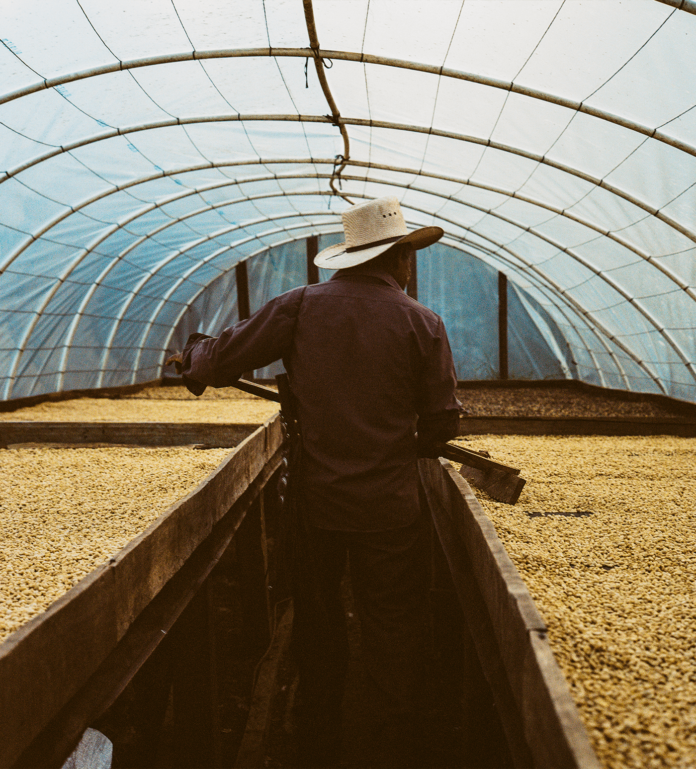 Verve Coffee Roasters - Juan Benitez - Producer Image