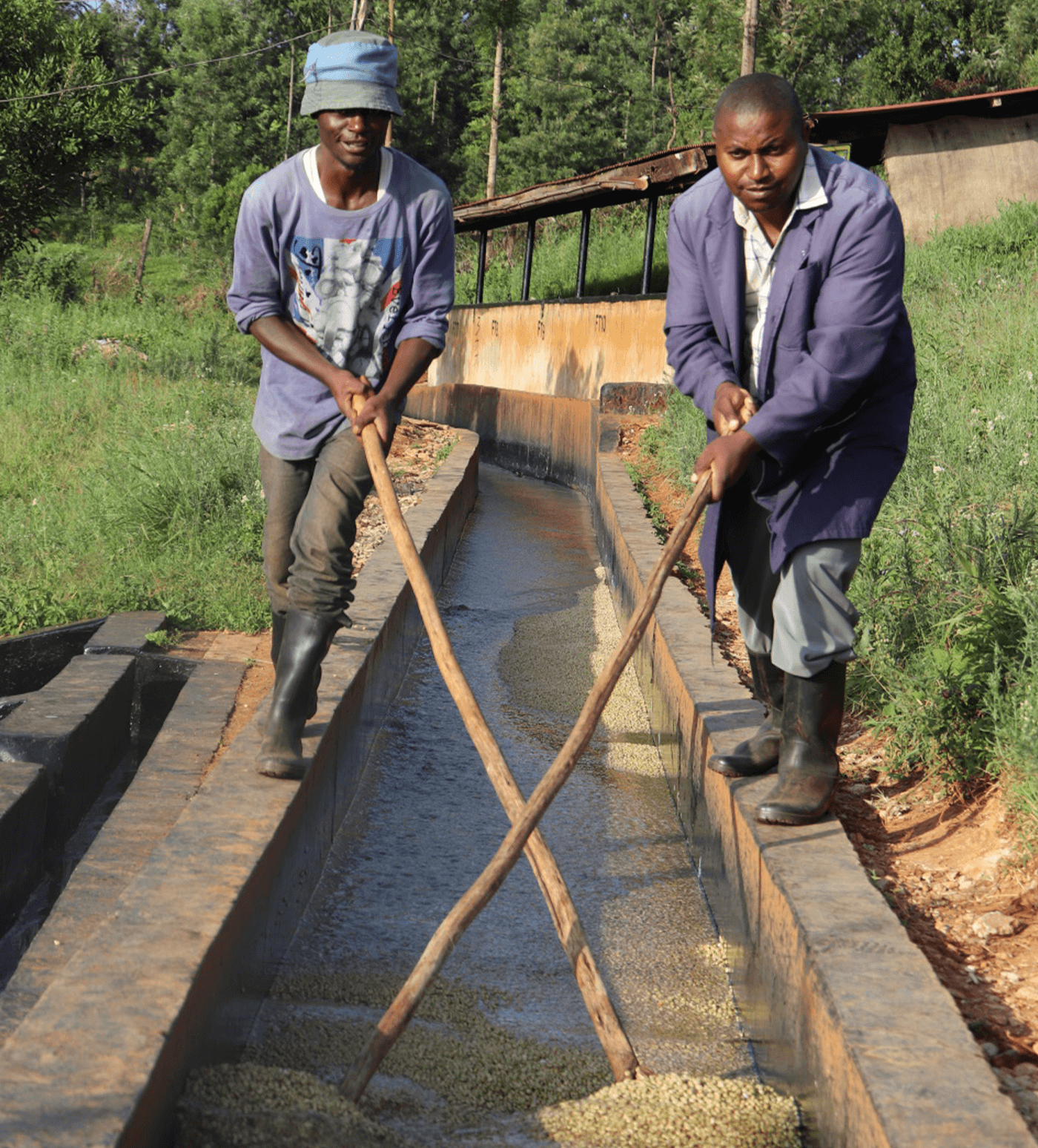 Verve Coffee Roasters - Kamwangi - Producer Image