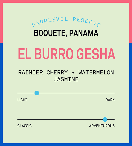 Verve Coffee Roasters - Lamastus Natural El Burro Green Tip Gesha Farmlevel Reserve - Flavor Profile - Farmlevel Reserve - Boquete, Panama - El Burro Gesha - Tasting Notes: Rainier Cherry, Watermelon, Jasmine - Light + Adventurous
