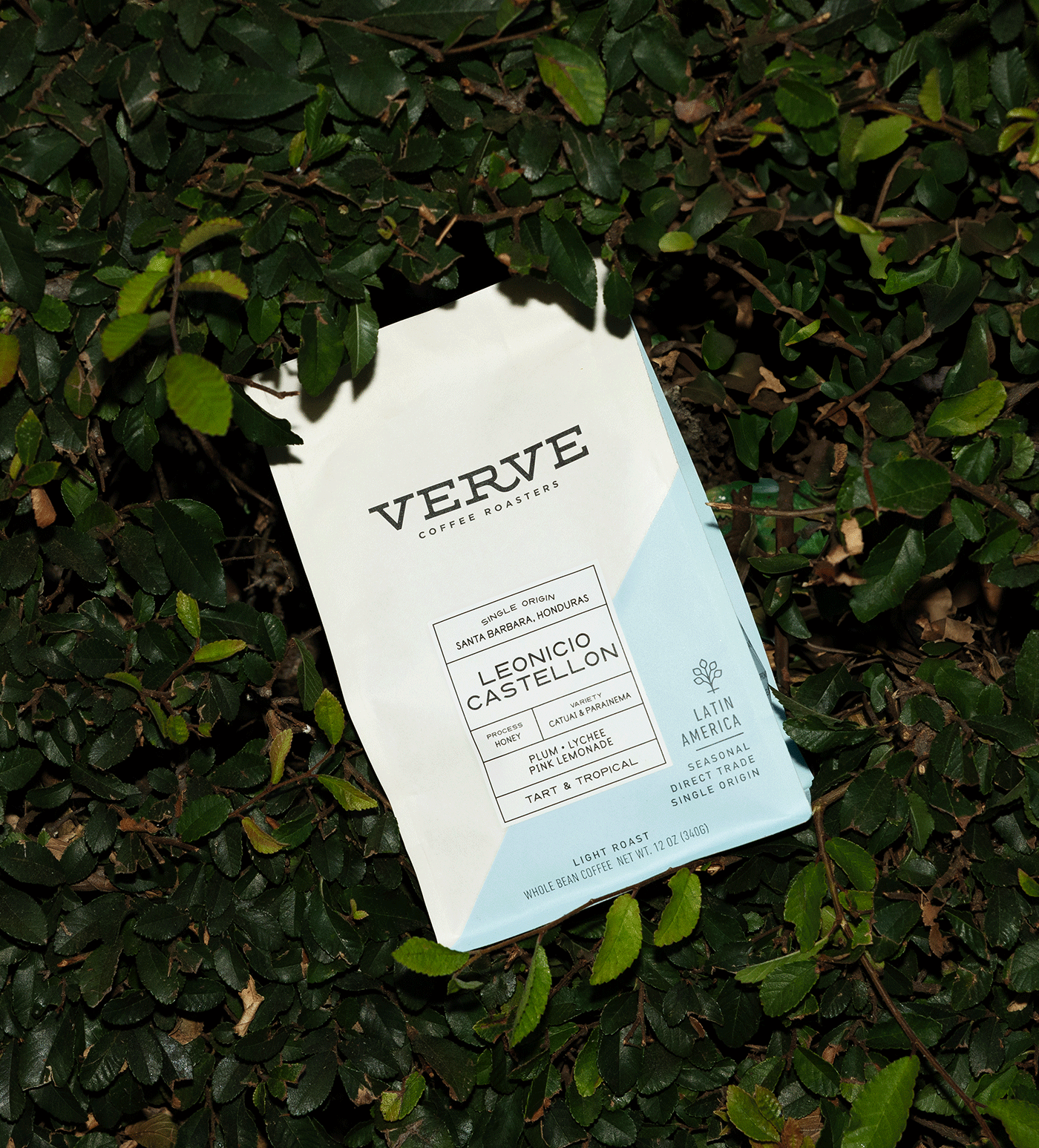 Verve Coffee Roasters - Leonicio Castellon - Single Origin - Santa Barbara, Honduras - Process: Honey - Variety: Catuai & Parainema - Tasting Notes: Plum, Lychee, Pink Lemonade - Tart & Tropical - Latin America - Seasonal - Direct Trade