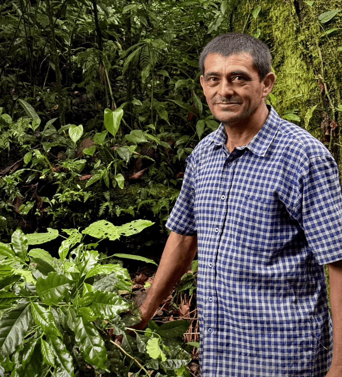 Verve Coffee Roasters - Leonicio Castellon - Producer Image
