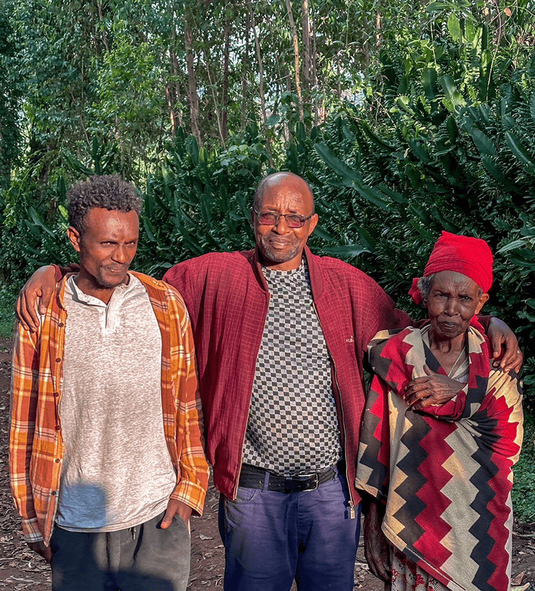 Verve Coffee | Archive | Ethiopia Mate Matiwos Natural | Single Origin