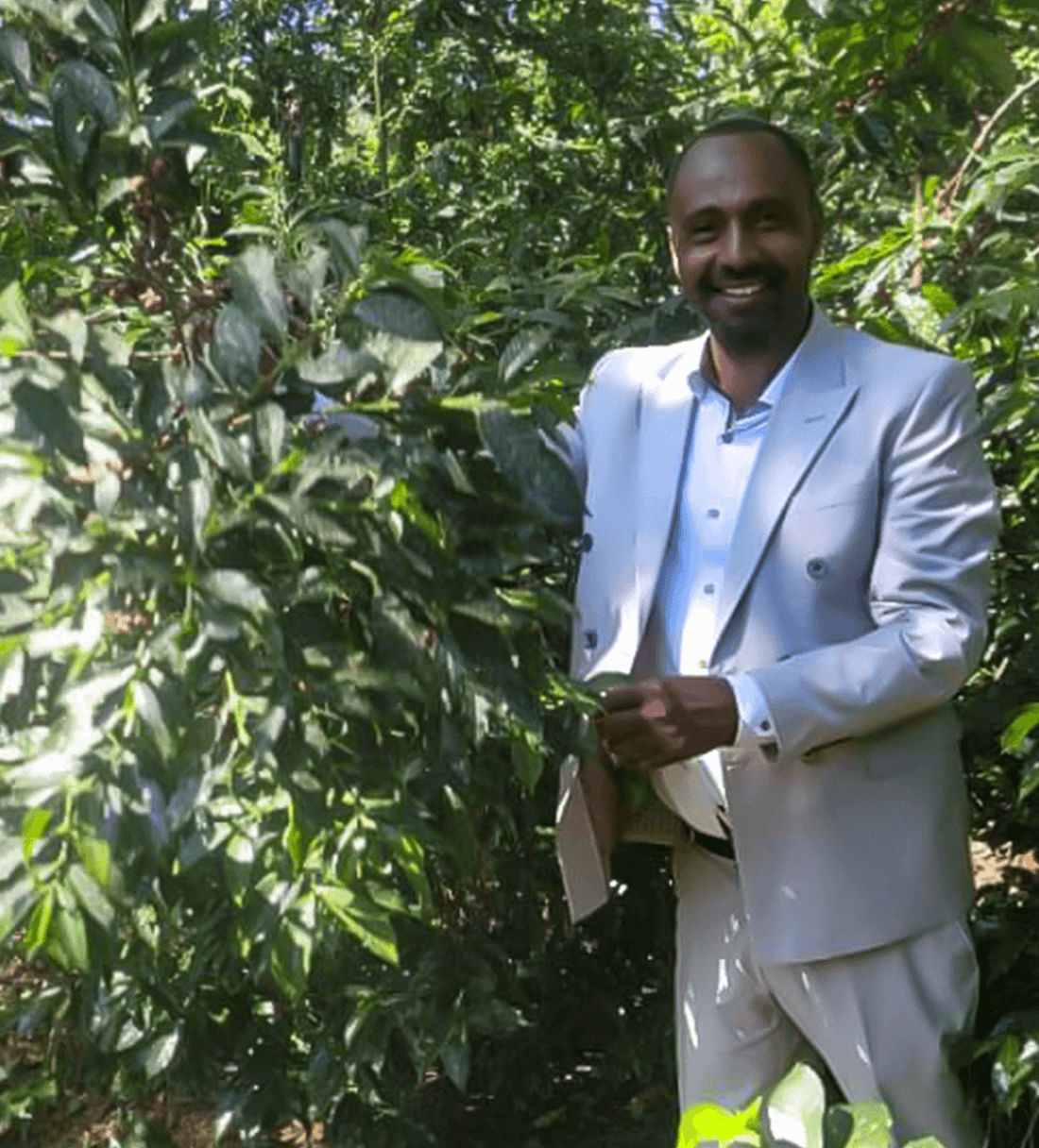 Verve Coffee | Archive | Ethiopia Mustefa Abakeno | Single Origin