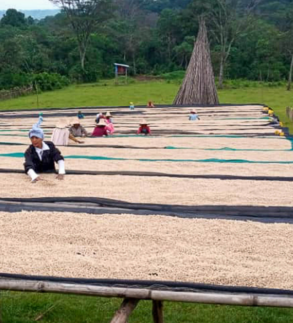 Verve Coffee Roasters - Mustefa Abakeno - Producer Image