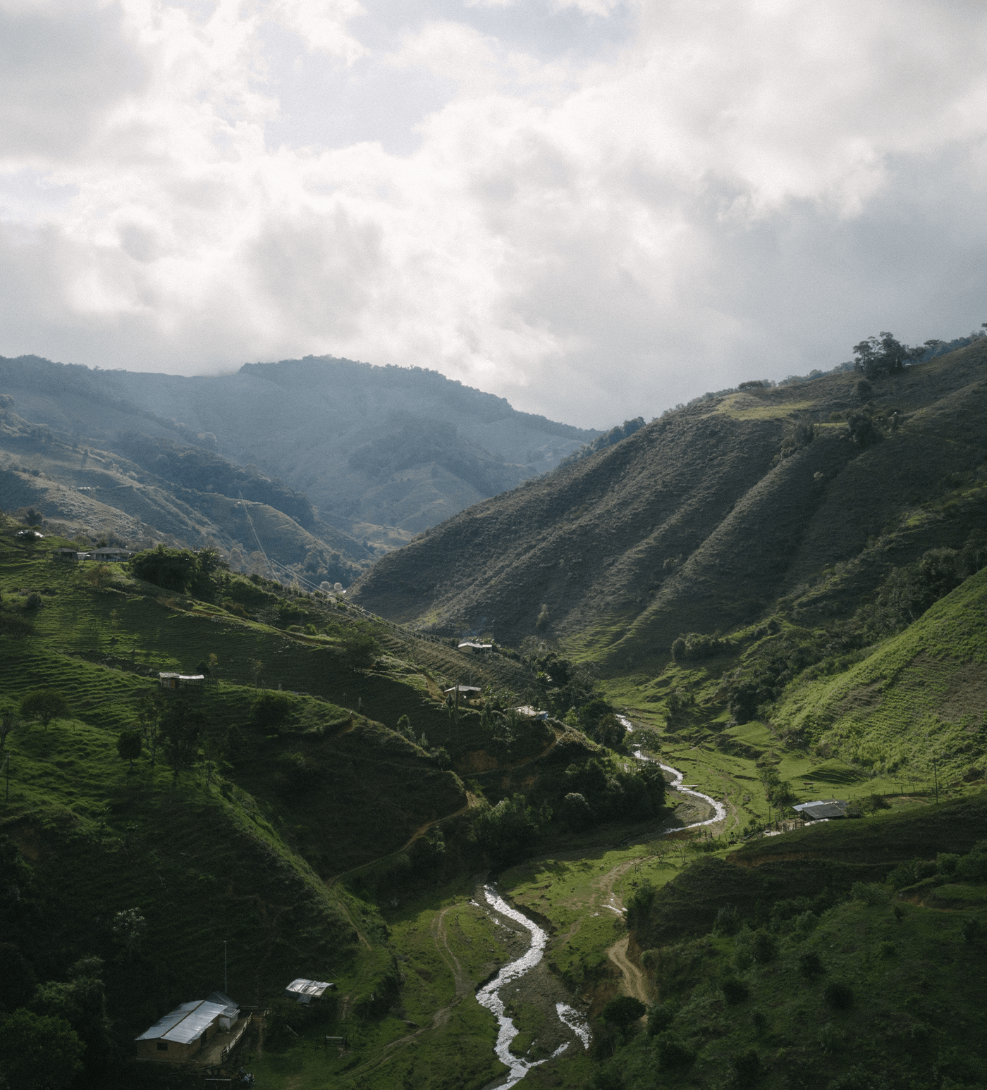 Verve Coffee Roasters - Urrao Nursery Project - Producer Image