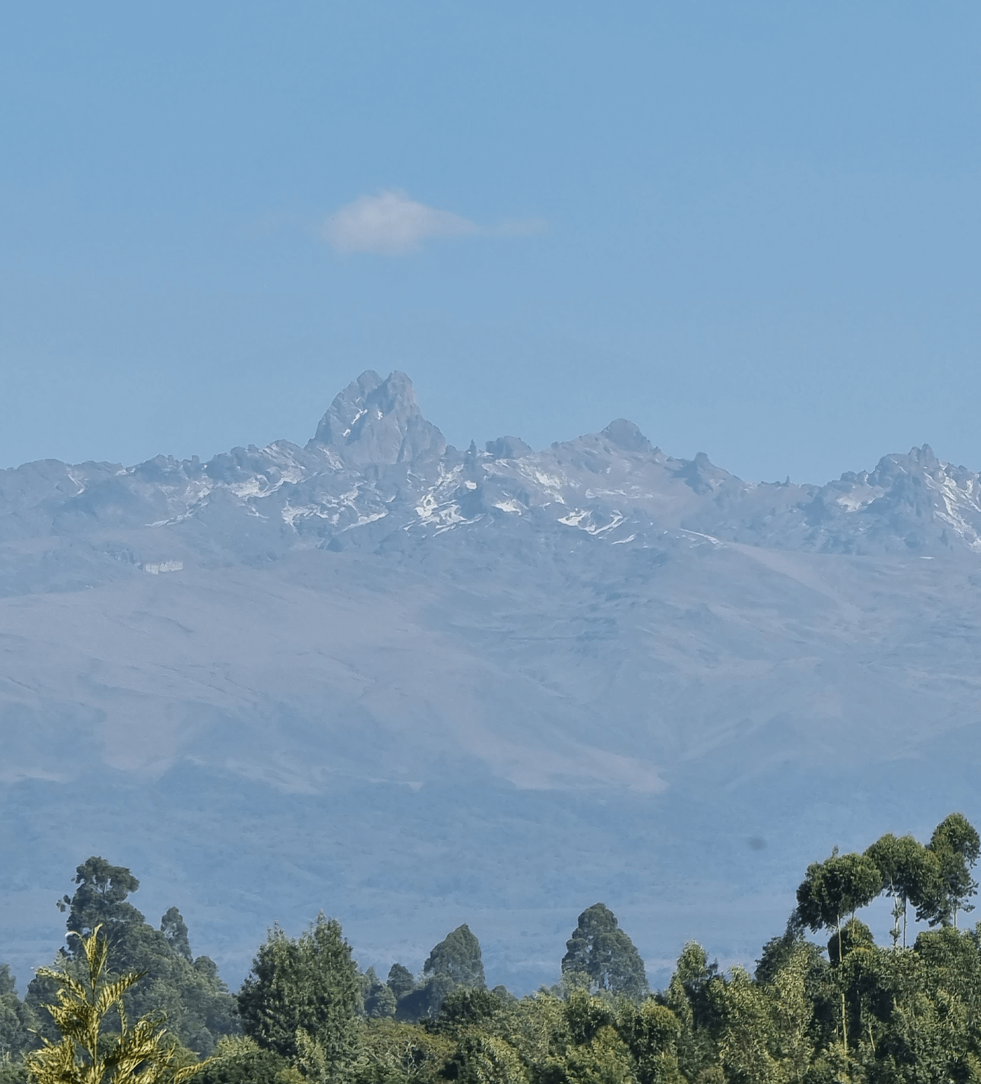 Verve Coffee Roasters - Privam Estate - Producer Image