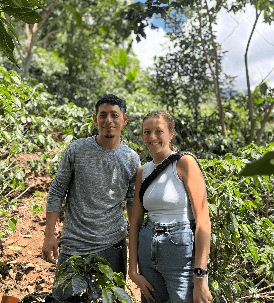 Verve Coffee | Honduras Roberto Miranda | Single Origin