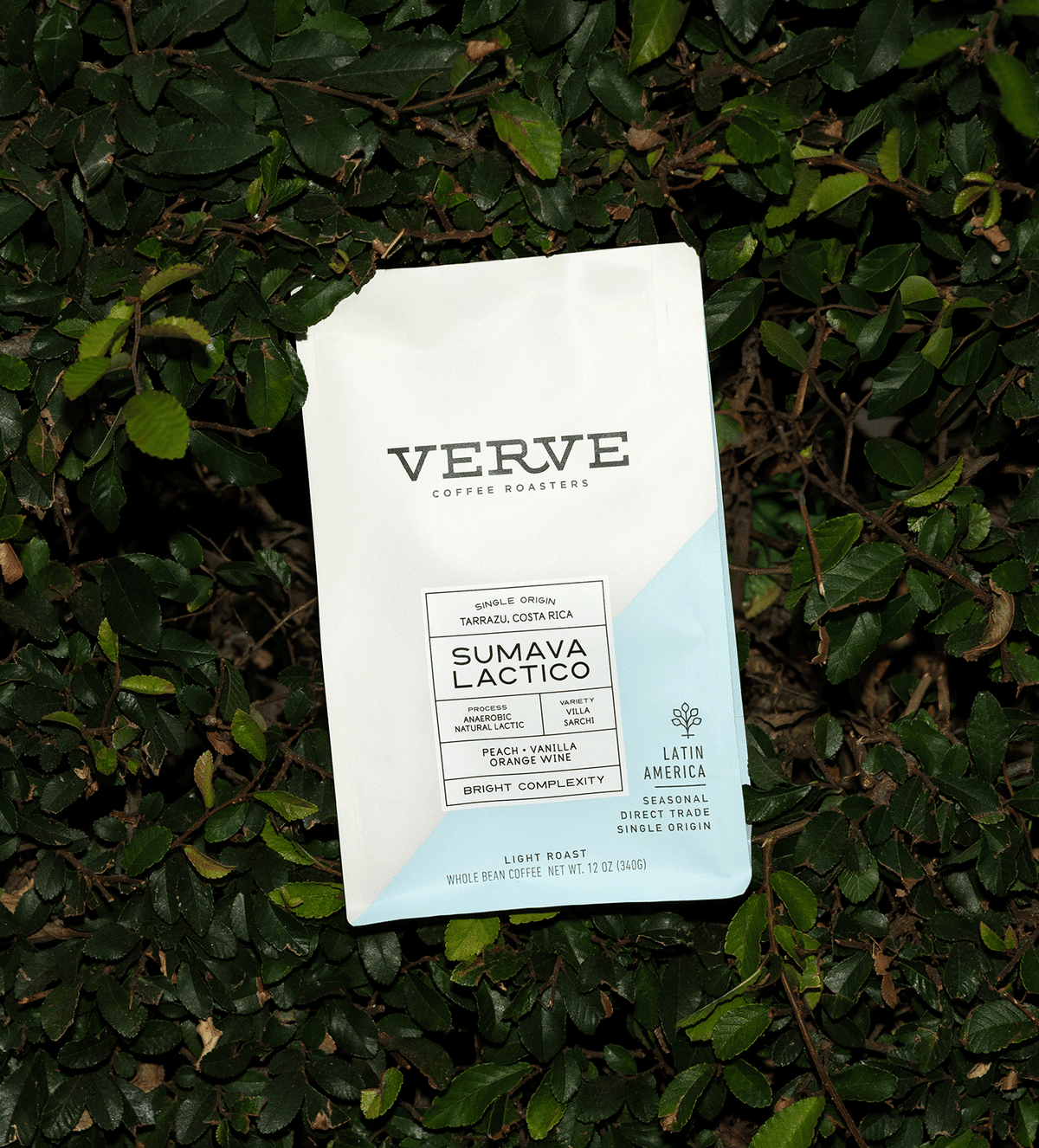 Verve Coffee Roasters - Sumava Lactico - Single Origin - Tarrazu, Costa Rica - Process: Anaerobic Natural Lactic - Variety: Villa Sarchi - Tasting Notes: Peach, Vanilla, Orange Wine - Bright Complexity - Latin America - Seasonal - Direct Trade - Light Roast