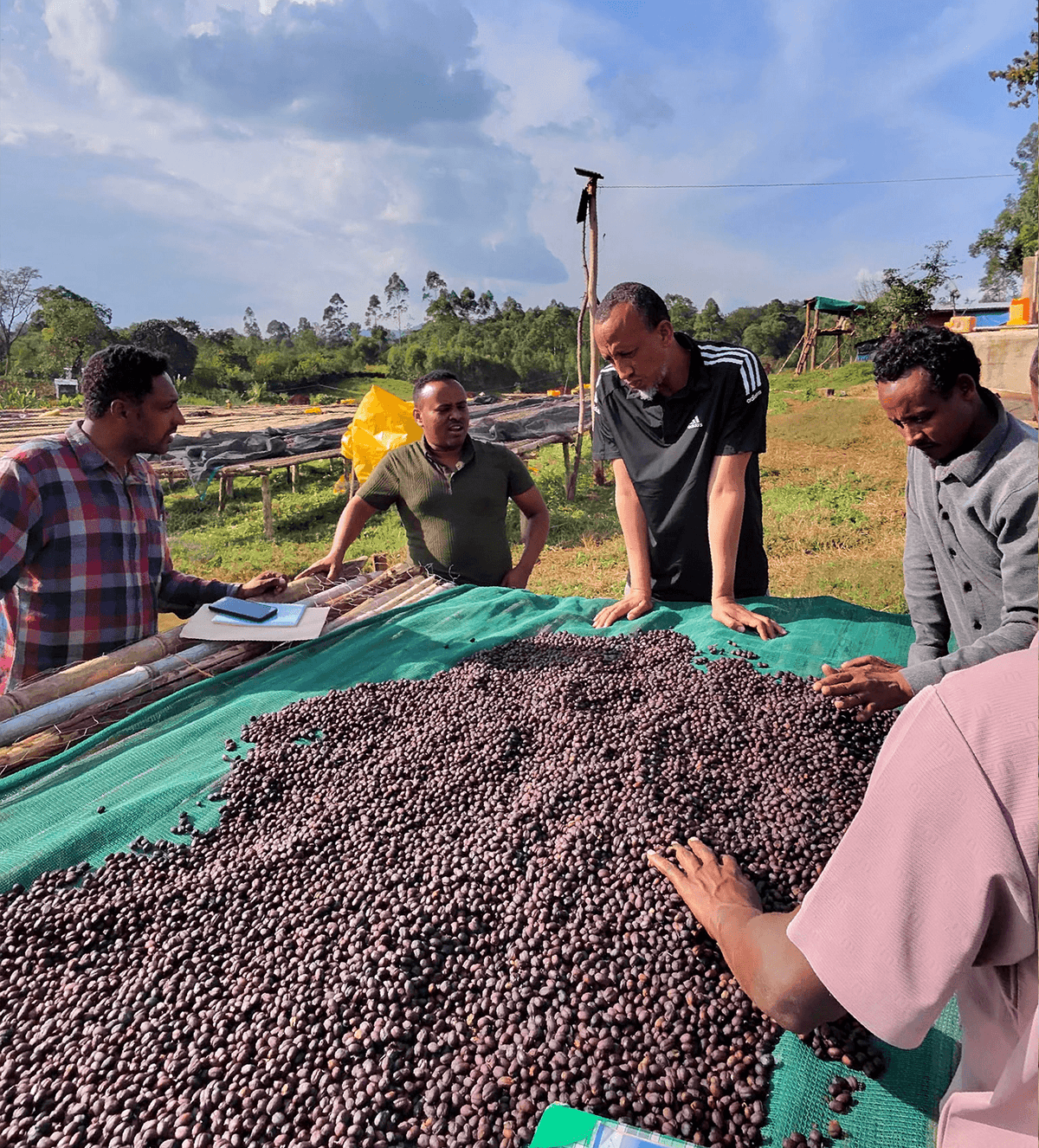 Verve Coffee Roasters - Tofik Nura - Producer Image