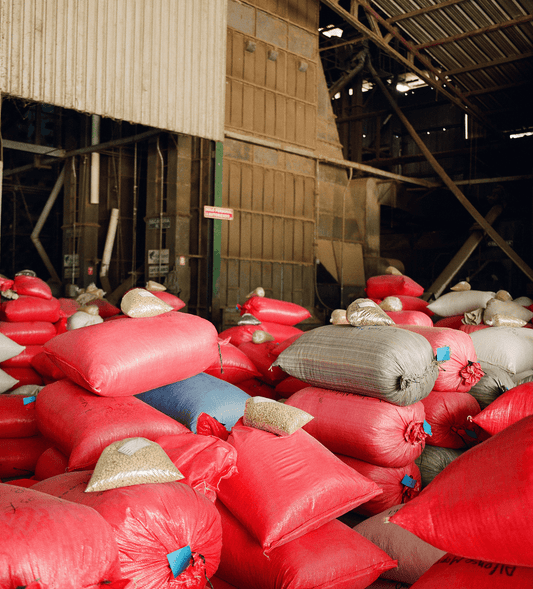 Verve Coffee Roasters - Yojoa - Producer Image