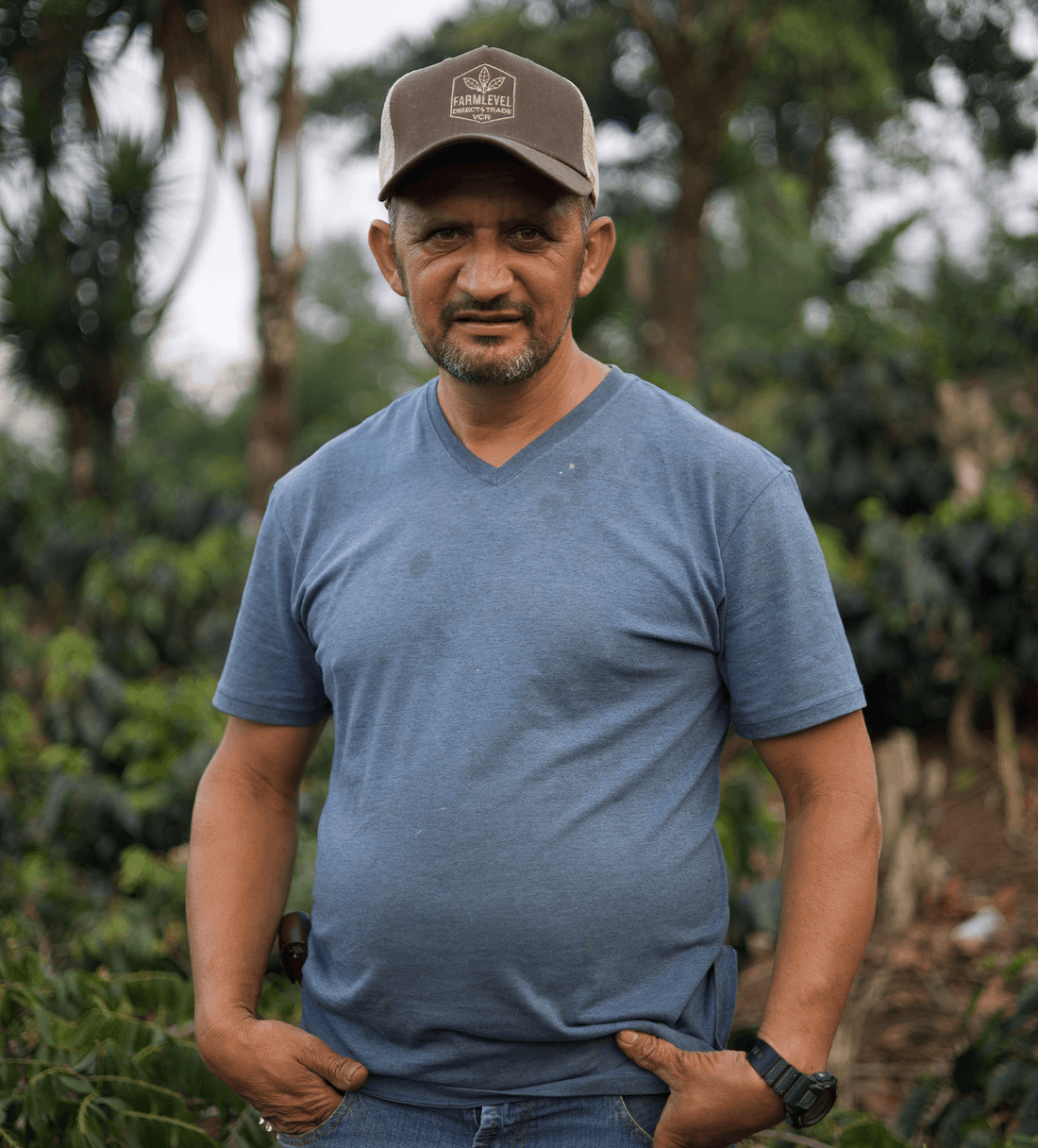 Verve Coffee | Archive | Honduras Yojoa SL28 | Single Origin