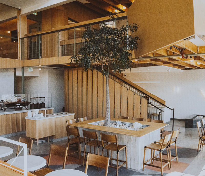 Mateo Verve Cafe in Los Angeles